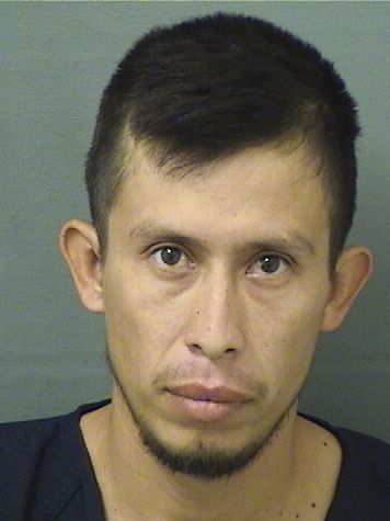  USAI ELISEO DIAZLOPEZ Results from Palm Beach County Florida for  USAI ELISEO DIAZLOPEZ