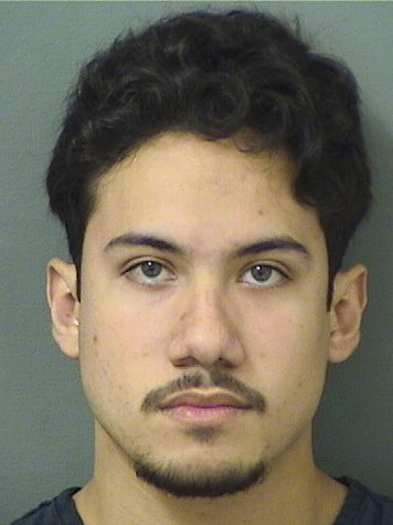  MARCOS ROSASROSALES Results from Palm Beach County Florida for  MARCOS ROSASROSALES