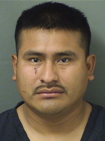  MARCOS VELASQUEZRAMOS Results from Palm Beach County Florida for  MARCOS VELASQUEZRAMOS