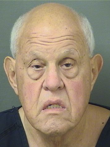  MICHAEL STEPHEN GOLDEN Results from Palm Beach County Florida for  MICHAEL STEPHEN GOLDEN