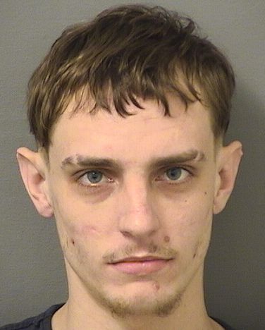  DOMINIC STEVENS ANDREWS Results from Palm Beach County Florida for  DOMINIC STEVENS ANDREWS