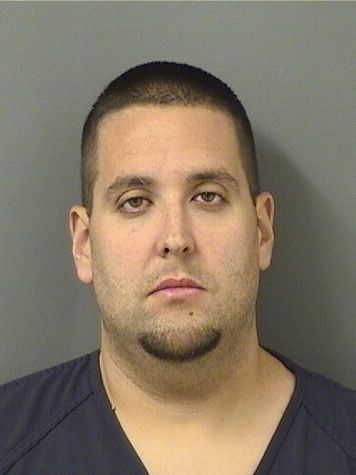  ALEXANDER D MORRIS Results from Palm Beach County Florida for  ALEXANDER D MORRIS