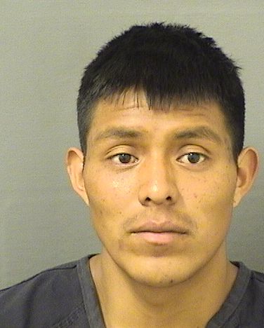 EDILZAR DAMIAN CHAJAGUSTIN Results from Palm Beach County Florida for EDILZAR DAMIAN CHAJAGUSTIN EDILZAR DAMIAN CHAJAGUSTIN Results from Palm Beach County Florida for EDILZAR DAMIAN CHAJAGUSTIN