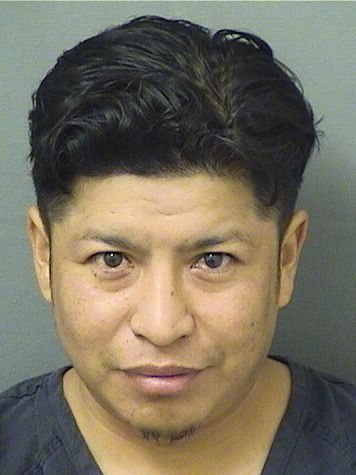  MIGUEL ANGEL BARBOZAMEJIA Results from Palm Beach County Florida for  MIGUEL ANGEL BARBOZAMEJIA