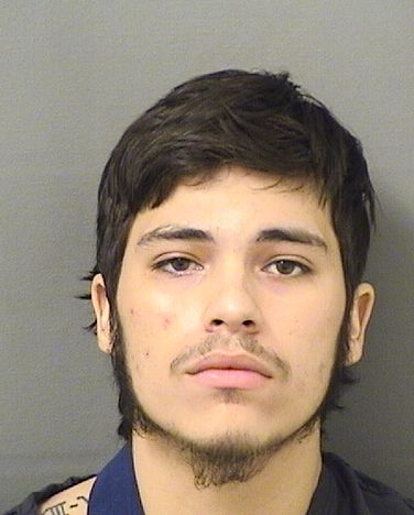  JOSE M VILLANUEVA Results from Palm Beach County Florida for  JOSE M VILLANUEVA