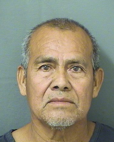  JOSE PALOMEQUEHERNANDEZ Results from Palm Beach County Florida for  JOSE PALOMEQUEHERNANDEZ