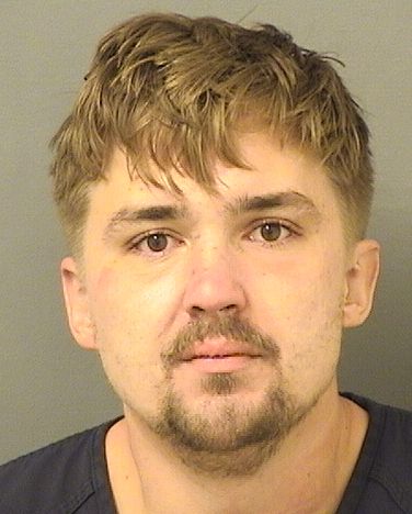  ANDREW JOHN SCIUBBA Results from Palm Beach County Florida for  ANDREW JOHN SCIUBBA