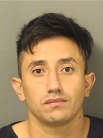  LEISERT OMAR SUMALEORDONEZ Results from Palm Beach County Florida for  LEISERT OMAR SUMALEORDONEZ