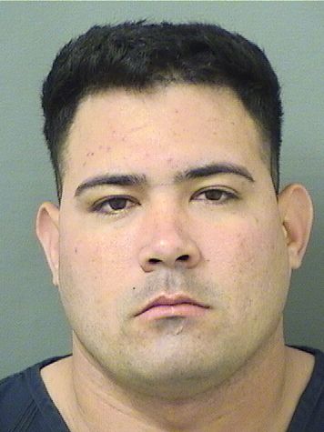  CRISTIAN JESUS GOMEZRODRIGUEZ Results from Palm Beach County Florida for  CRISTIAN JESUS GOMEZRODRIGUEZ