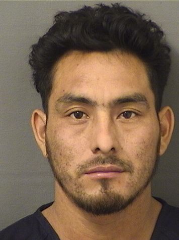  DIEGO MATEO TRANQUILINO Photo