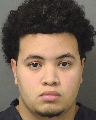  HENDRY ACEITUNOGUDINO Results from Palm Beach County Florida for  HENDRY ACEITUNOGUDINO