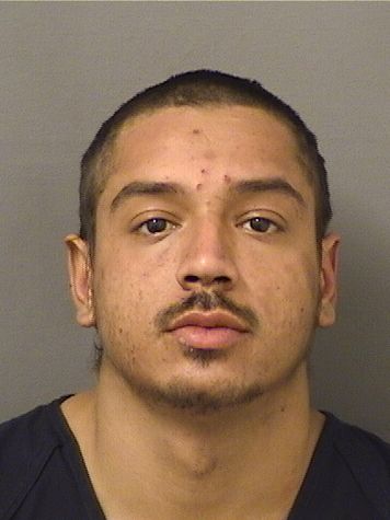  DAVID GABRIEL REYNA Resultados de la busqueda para Palm Beach County Florida para  DAVID GABRIEL REYNA