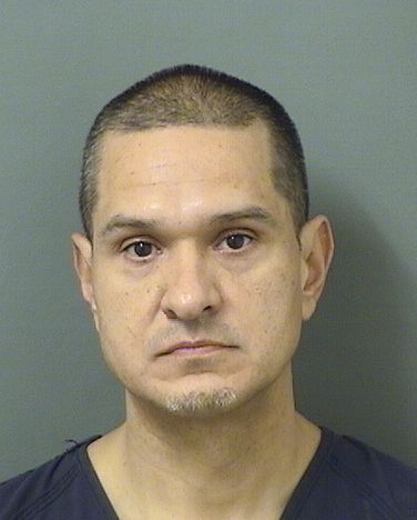  GEORGE NICHOLAS PONCEDELEON Results from Palm Beach County Florida for  GEORGE NICHOLAS PONCEDELEON