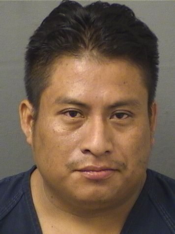  EDGAR LUCAS VAZQUEZMENDEZ Results from Palm Beach County Florida for  EDGAR LUCAS VAZQUEZMENDEZ