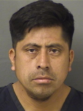  FREDI SOTOGONZALEZ Resultados de la busqueda para Palm Beach County Florida para  FREDI SOTOGONZALEZ