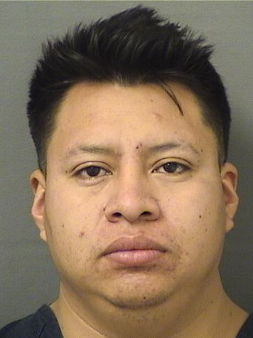  MANUEL JEREMIAS GARCIAHERNANDEZ Results from Palm Beach County Florida for  MANUEL JEREMIAS GARCIAHERNANDEZ