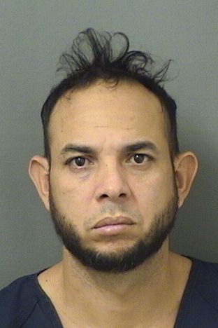  JAVIER ALEJANDRO DELGADOMOSQUERA Results from Palm Beach County Florida for  JAVIER ALEJANDRO DELGADOMOSQUERA