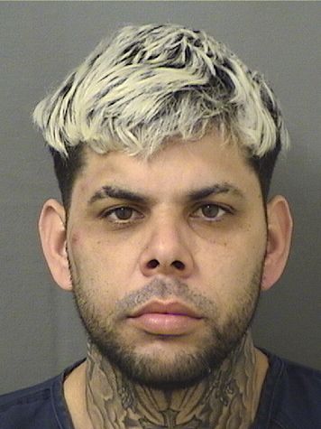  RAMON M SOTOVEGA Results from Palm Beach County Florida for  RAMON M SOTOVEGA