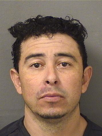  ROMULO ALBERTO GONZALEZCOREA Results from Palm Beach County Florida for  ROMULO ALBERTO GONZALEZCOREA