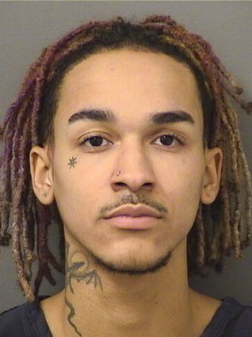  MILO RAY HAVENSDICKENS Results from Palm Beach County Florida for  MILO RAY HAVENSDICKENS