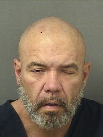  MICHAEL A BEAVER Results from Palm Beach County Florida for  MICHAEL A BEAVER