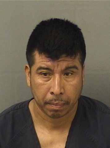  FREDY VASQUEZZAMORA Photo For  FREDY VASQUEZZAMORA