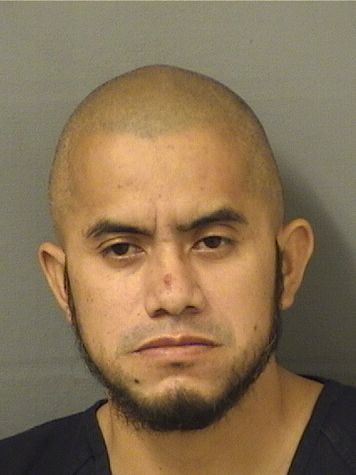  VIDAL LOPEZRIOS Results from Palm Beach County Florida for  VIDAL LOPEZRIOS