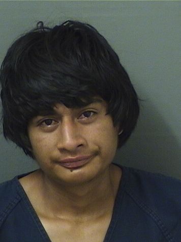  ALEX PAXTOR Resultados de la busqueda para Palm Beach County Florida para  ALEX PAXTOR