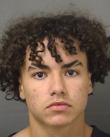  SERGIO NUNESDEMOURANETO Results from Palm Beach County Florida for  SERGIO NUNESDEMOURANETO