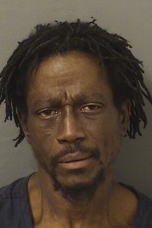  SEAN ANTHONY CHIN Results from Palm Beach County Florida for  SEAN ANTHONY CHIN
