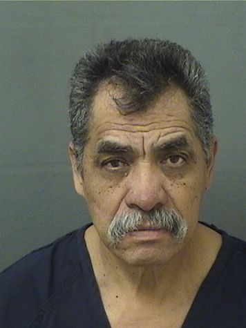  ROSENSO VIRVETE Results from Palm Beach County Florida for  ROSENSO VIRVETE