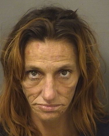  CHRISTINA MARIE CHIESA Results from Palm Beach County Florida for  CHRISTINA MARIE CHIESA