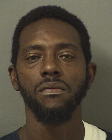  RONALD J JACKSON Results from Palm Beach County Florida for  RONALD J JACKSON