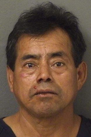  JOSE RAMOS Results from Palm Beach County Florida for  JOSE RAMOS
