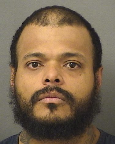  MELVIN MICHAEL GOODWIN Results from Palm Beach County Florida for  MELVIN MICHAEL GOODWIN