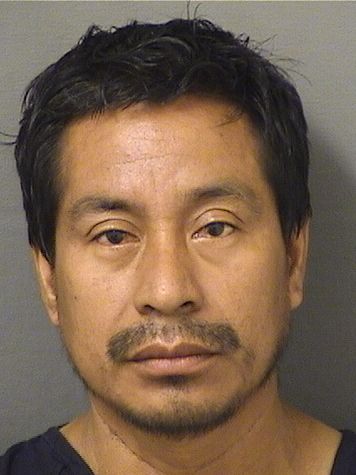  MARIO DOMINGO PEREZ Results from Palm Beach County Florida for  MARIO DOMINGO PEREZ