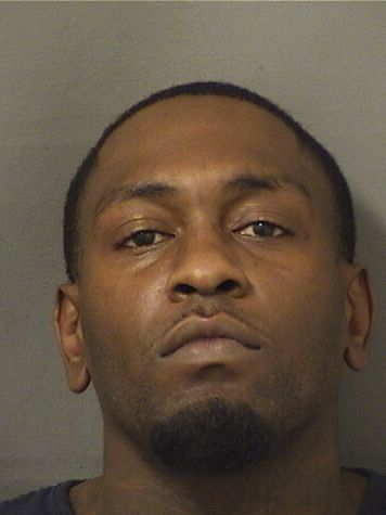  VLADYMY DESIR Results from Palm Beach County Florida for  VLADYMY DESIR