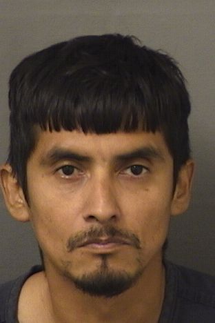  ROBERT ROBERTOJOSE HERNANDEZ Resultados de la busqueda para Palm Beach County Florida para  ROBERT ROBERTOJOSE HERNANDEZ