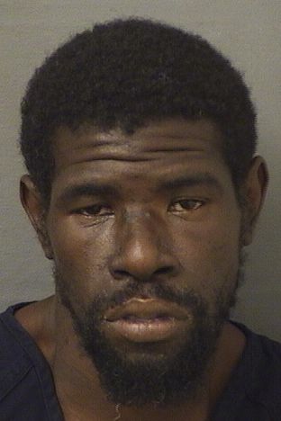  DAVID JAMANE BIRD Photo For  DAVID JAMANE BIRD