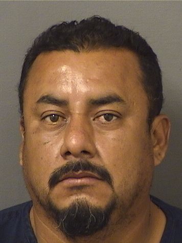 RIGOBERTO JUAREZCARREON Resultados de la busqueda para Palm Beach County Florida para  RIGOBERTO JUAREZCARREON