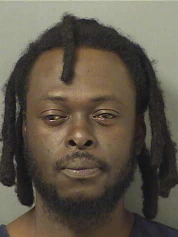  DIEULIC FRANCOIS Results from Palm Beach County Florida for  DIEULIC FRANCOIS