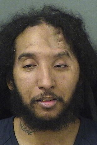 RYAN NEGRON Results from Palm Beach County Florida for  RYAN NEGRON