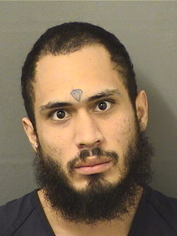  SAMUEL REYES Results from Palm Beach County Florida for  SAMUEL REYES