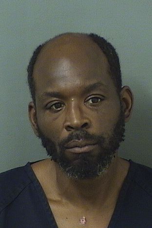  VINCENT V WILLIAMS Results from Palm Beach County Florida for  VINCENT V WILLIAMS