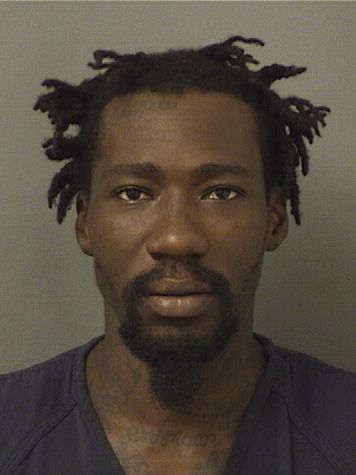  ANICE TERMILIEN Results from Palm Beach County Florida for  ANICE TERMILIEN