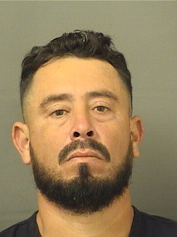  YANDI NOEL MENDEZ Results from Palm Beach County Florida for  YANDI NOEL MENDEZ