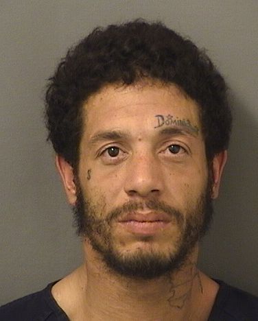  KELVIN MORA Results from Palm Beach County Florida for  KELVIN MORA