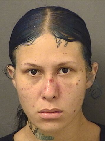  SARAH NICOLE PERRY Results from Palm Beach County Florida for  SARAH NICOLE PERRY