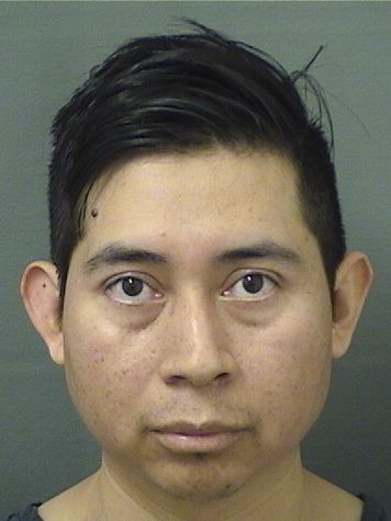  PEDRO PELICO Results from Palm Beach County Florida for  PEDRO PELICO