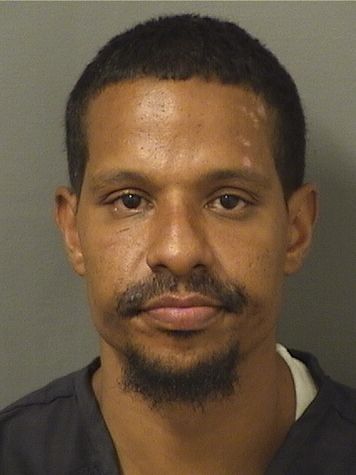  DELVIN RAMOS Results from Palm Beach County Florida for  DELVIN RAMOS